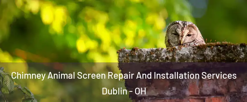  Chimney Animal Screen Repair And Installation Services Dublin - OH