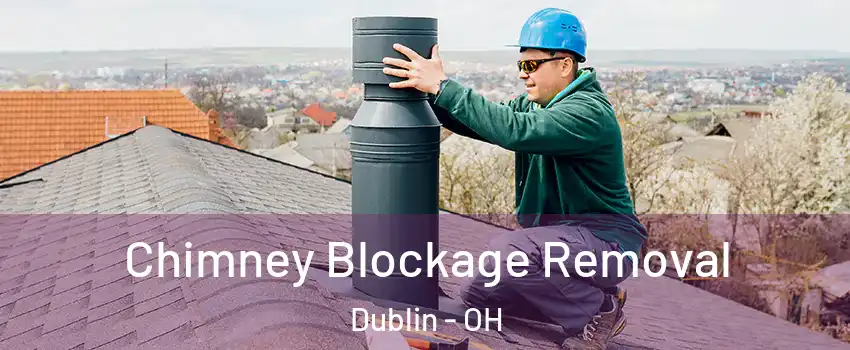  Chimney Blockage Removal Dublin - OH