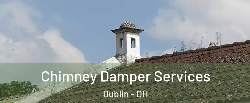  Chimney Damper Services Dublin - OH