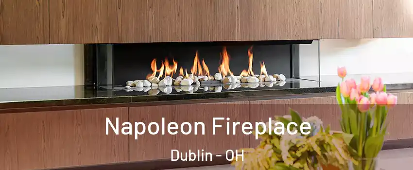  Napoleon Fireplace Dublin - OH